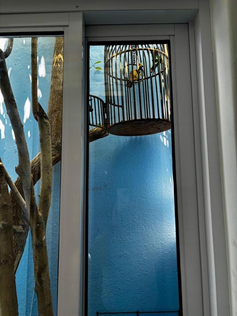 La Rose B&B Kaapstad Buitenkant foto